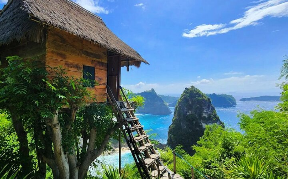 Tree House Nusa Penida: A Dream Stay Above the Cliffs of Bali