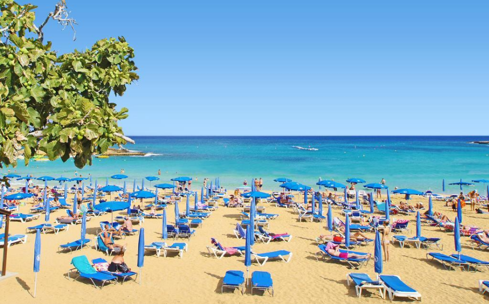Mimosa Beach: The Best Destination for a Beautiful Vacation